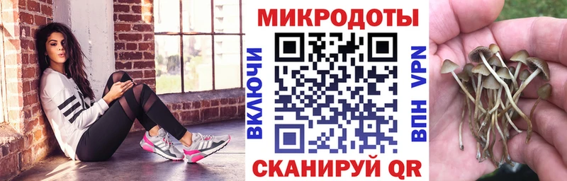 Купить где  Ивдель  Псилоцибиновые грибы Psilocybe 