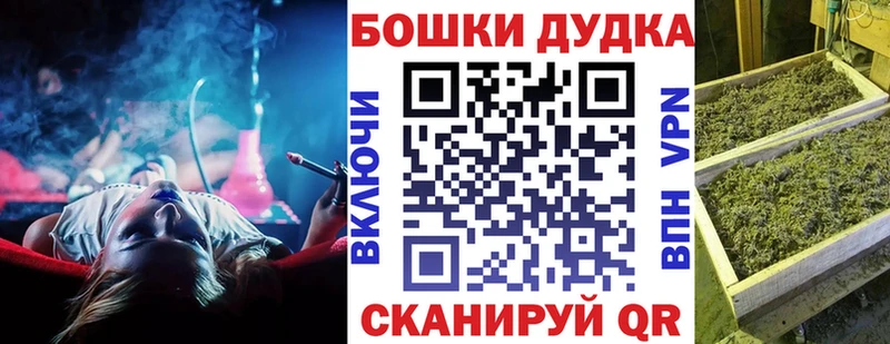 Купить где  Ивдель  Каннабис Amnesia 